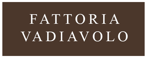 Fattoria VADIAVOLO, Montalbano, Via Gugniano, 37, 51030 San Baronto (Pt) Fattoria VADIAVOLO, Montalbano, Via Gugniano, 37, 51030 San Baronto (Pt)