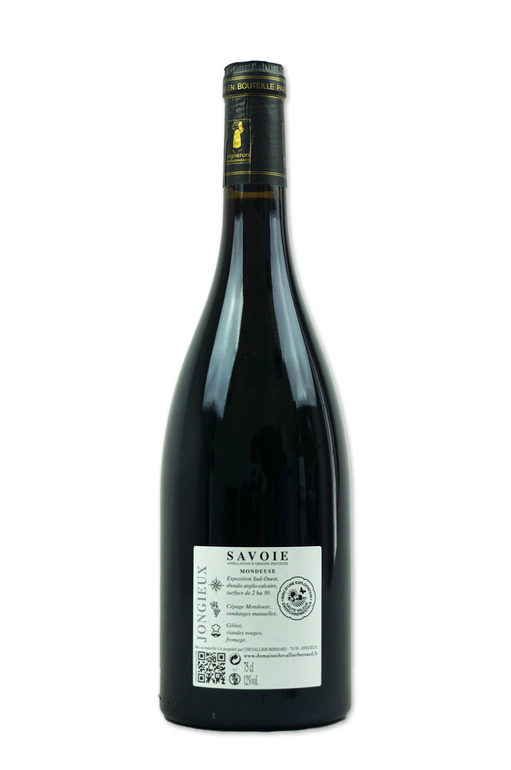 JongieuxMondeuse.png