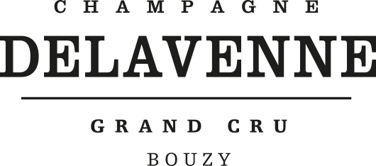 S.C.E.V DELAVENNE PERE ET FILS Bouzy, 6 RUE DE TOURS 51150 BOUZY, France