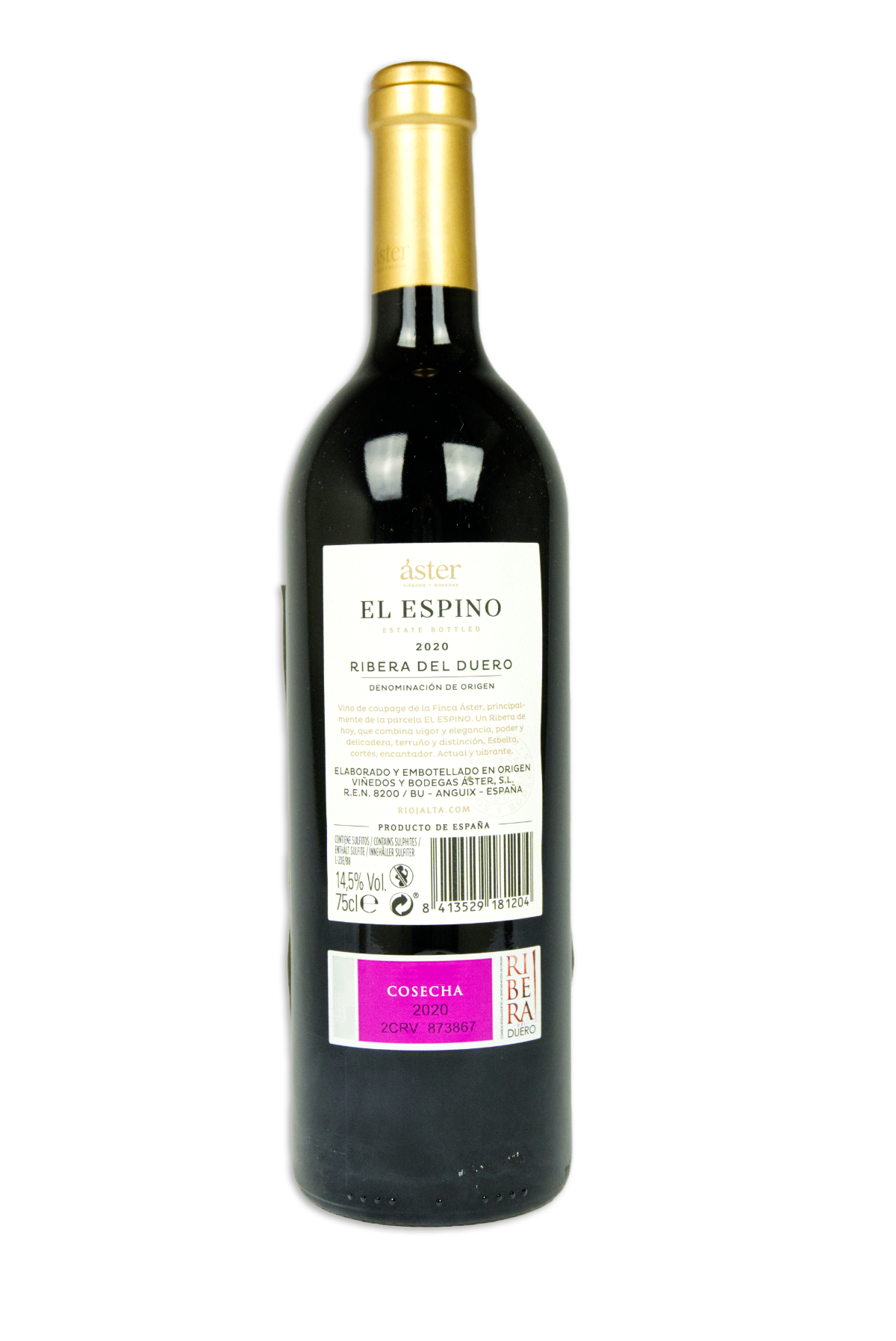 2020-Aster-El-Espino-Ribera-del-DueroRS 2020-Aster-El-Espino-Ribera-del-DueroRS.png