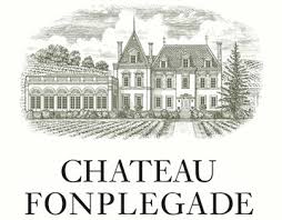 Chateau Fonplegade, 33330 Saint-Emilion