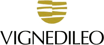 Vigne di Leo, AZIENDA AGRICOLA TRE CASTELLI, Via San Francesco, 2/A, 60039 Staffolo (AN) 