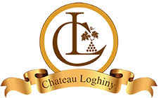 Chateau Loghiny, Moldau, Jáchymovská 160/47, Karlovy Vary 360 04 